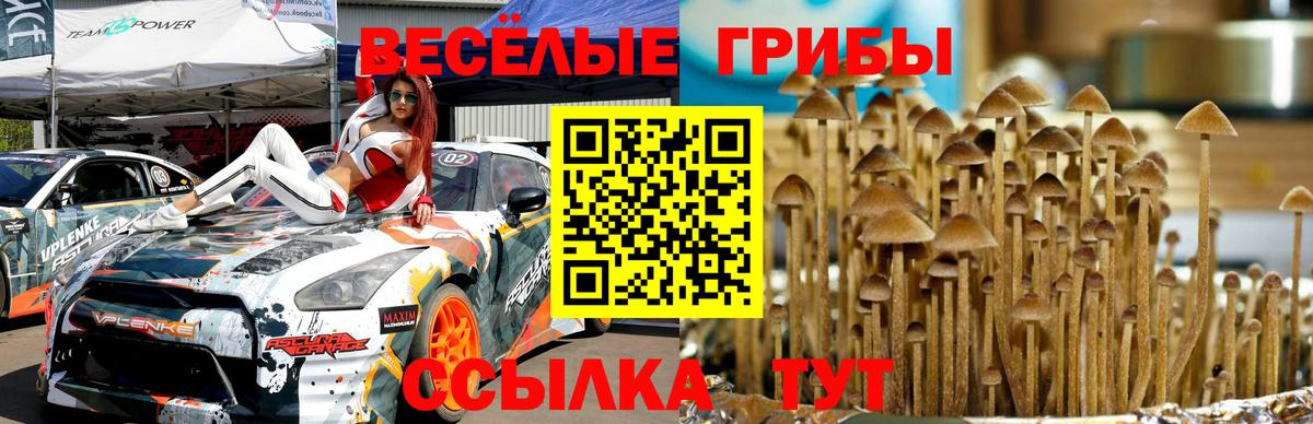 Псилоцибиновые грибы прущие грибы  Галлюциногенные грибы Psilocybine cubensis  Кстово  Вход с VPN 